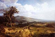 landscape in the ardennes